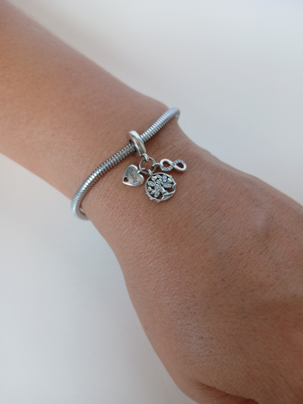 Pulsera cadena de serpiente en acero inoxidable + charms 3 en 1 en plata 925